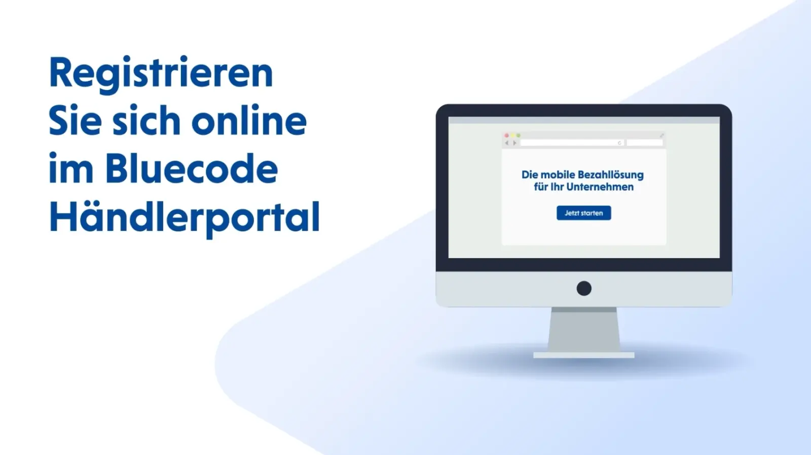 Bluecode Tutorial Video Fallback